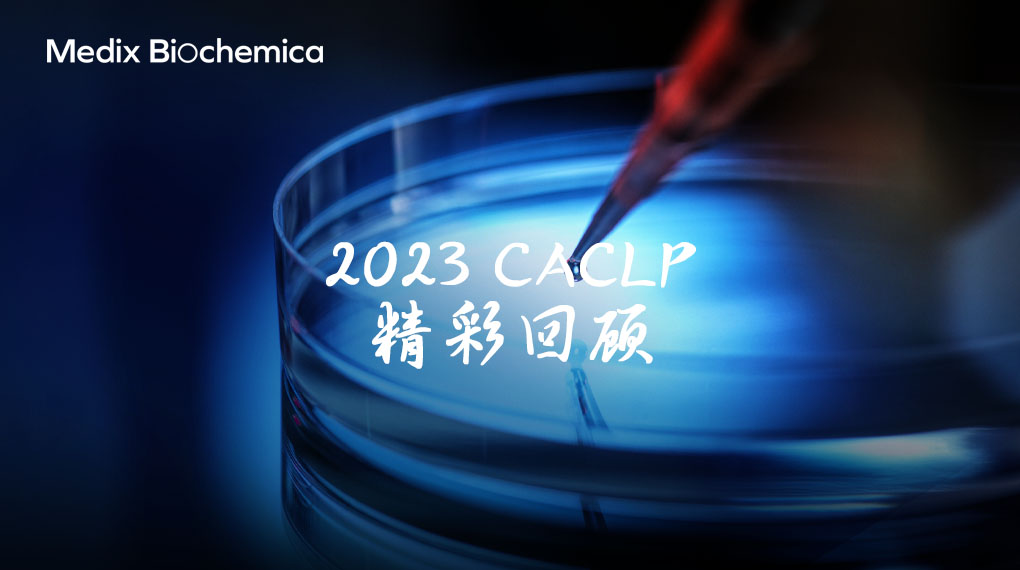AMP 2022